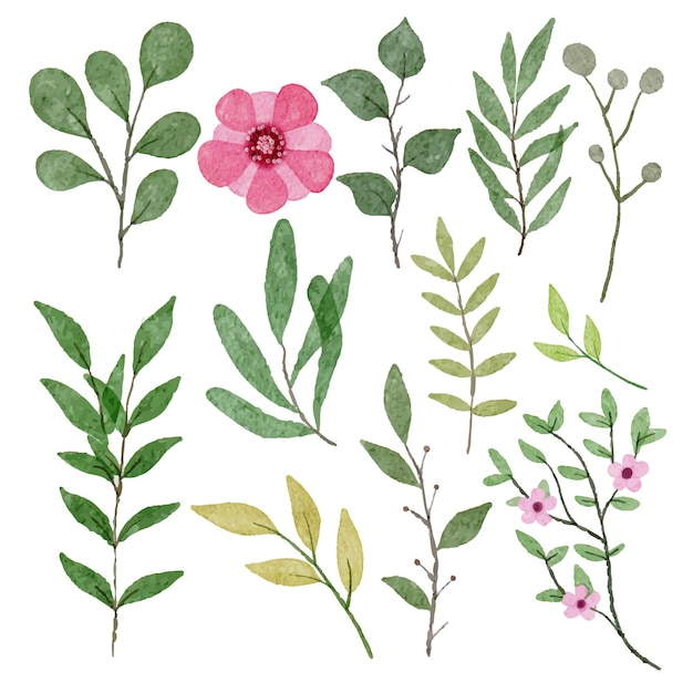 Conjunto de piezas separadas y unidas a un hermoso ramo de flores en estilo de colores de agua en la ilustración de vector plano de fondo blanco