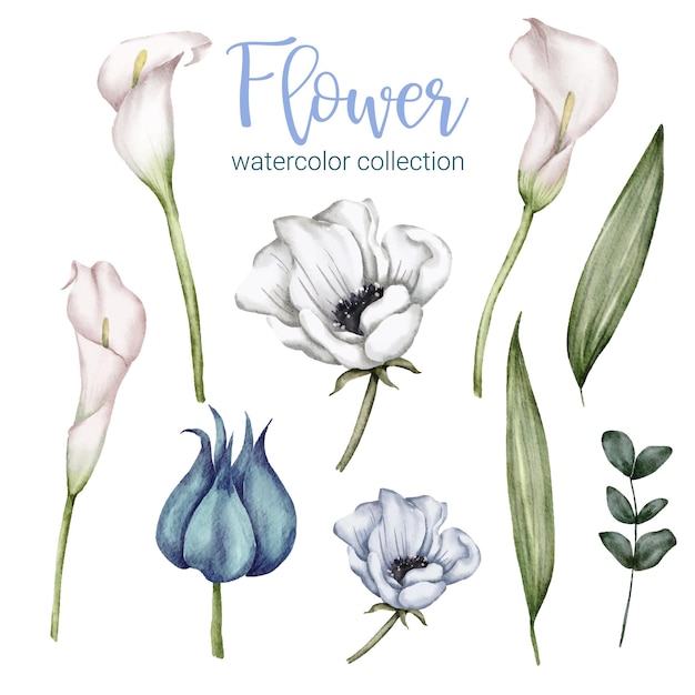 Conjunto de piezas separadas y unidas a un hermoso ramo de flores en estilo de colores de agua en la ilustración de vector plano de fondo blanco