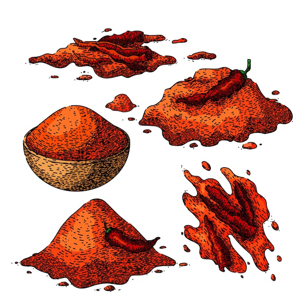 conjunto de pimentón pimienta dibujada a mano ingrediente alimentario polvo chile cayena pimentón boceto vectorial ilustración de color aislada