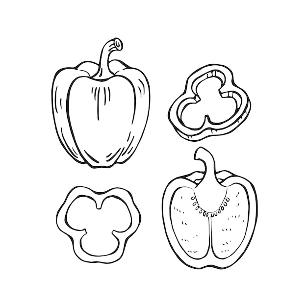 Conjunto de pimienta Ilustración vectorial dibujada a mano en estilo contorno