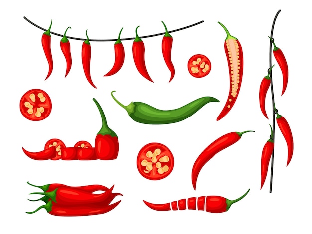 Vector conjunto de pimiento rojo picante aislado sobre fondo blanco.