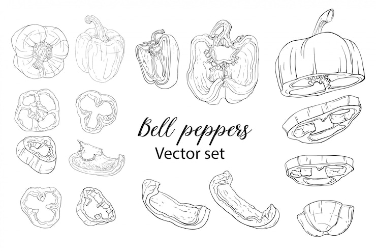Vector conjunto de pimientos