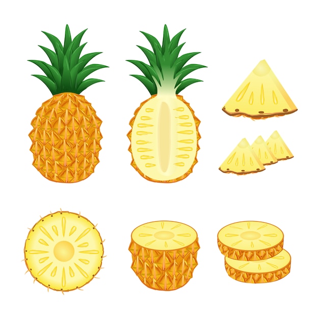 Conjunto de piña entera y rebanadas ilustración vectorial