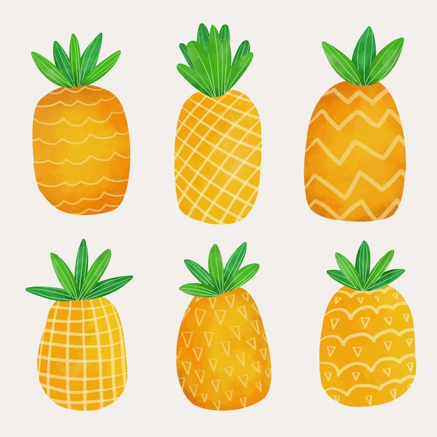 Vector conjunto de piña con textura diferente