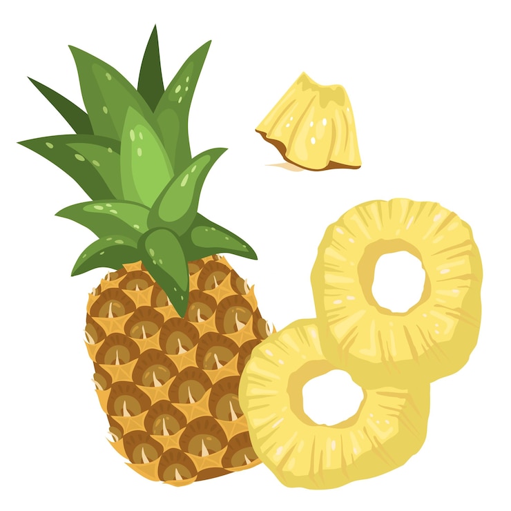 Vector conjunto de piñas. una piña entera, anillos y rebanadas aislados en un fondo blanco. ilustración de vector de frutas tropicales en estilo de dibujos animados para envases, menús y recetas.