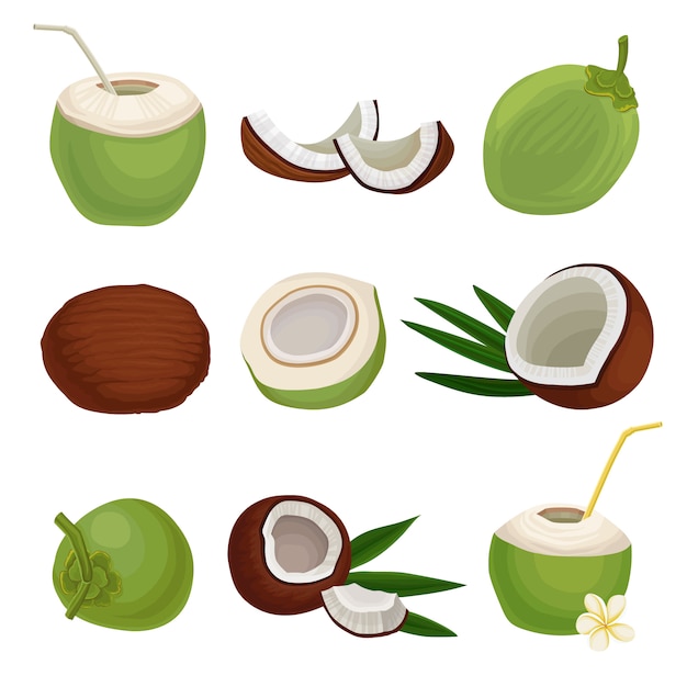 Conjunto plano de cocos frescos. Cóctel exótico Comida natural y saludable. Fruta tropical. Elementos para el empaque del producto o póster