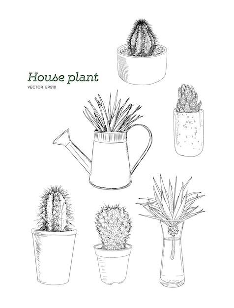 Conjunto de planta de la casa en maceta, mano dibujar boceto vector.