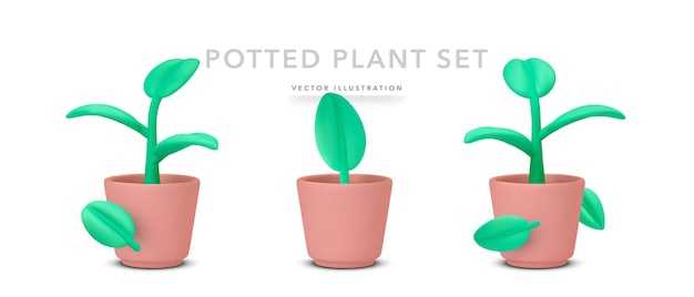 Conjunto de planta en maceta realista 3d con sombra aislada sobre fondo blanco Ilustración vectorial