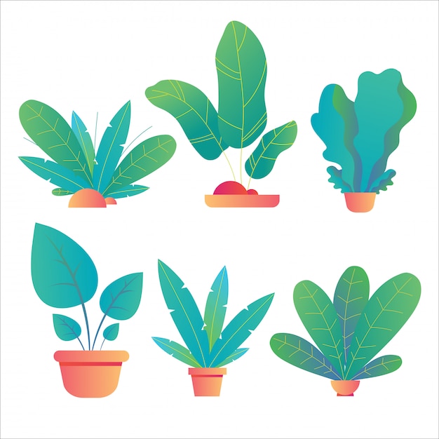 Vector conjunto de planta