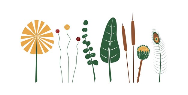 Vector conjunto de plantas abstractas contemporáneas, gran diseño para cualquier propósito.