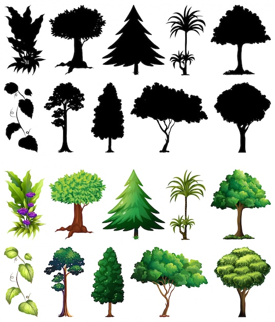 Vector conjunto de plantas y árboles con su silueta.