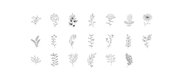 Conjunto de plantas a base de hierbas