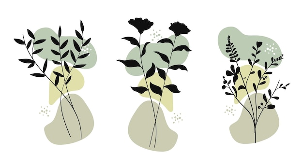 Conjunto de plantas botánicas contemporáneas dibujadas a mano