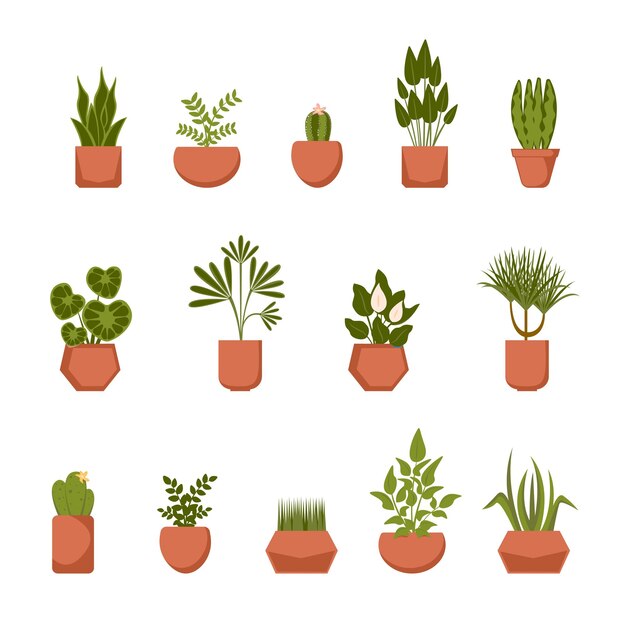 Conjunto de plantas caseras en macetas de barro Colección de vectores de plantas de interior en estilo plano