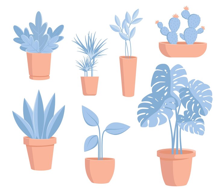 Un conjunto de plantas caseras en macetas beige.