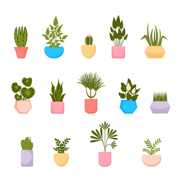 Conjunto de plantas caseras en macetas Colección de vectores de plantas de interior en estilo plano