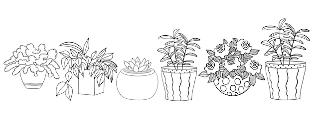 Vector conjunto de plantas caseras en macetas.