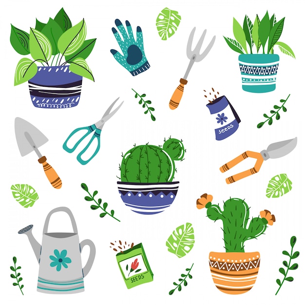 Vector conjunto de plantas caseras o flores.