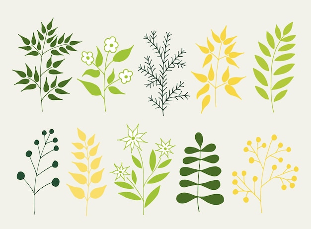 Un conjunto de plantas de dibujos animados de garabatos dibujadas a mano Elementos de diseño floral vectorial