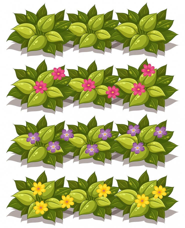 Vector un conjunto de plantas y flores