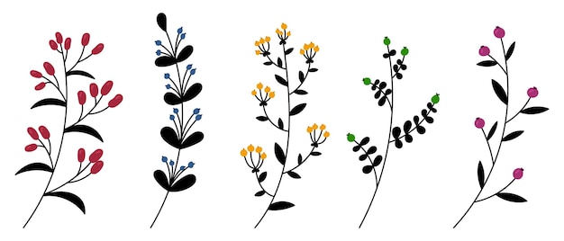 Conjunto de plantas y hierbas vectoriales Elementos florales dibujados a mano Siluetas de elementos naturales para fondos estacionales Estilo Doodle Ilustración vectorial