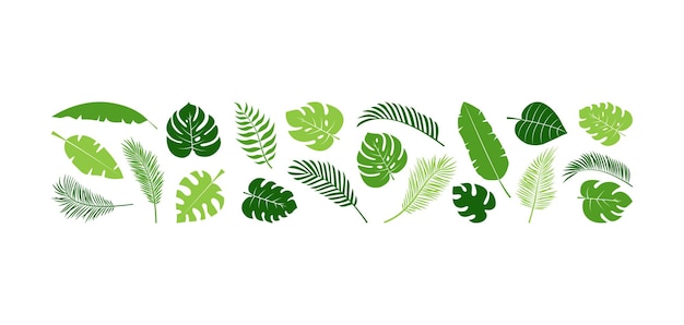 Vector conjunto de plantas de hoja de palma de verano