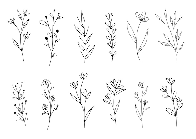 Conjunto de plantas de hojas florales de arte de línea botánica ramas de boceto dibujado a mano aisladas en blanco Vector