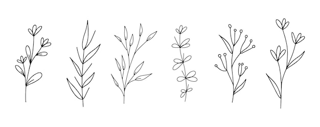 Conjunto de plantas de hojas florales de arte de línea botánica ramas de boceto dibujado a mano aisladas en blanco