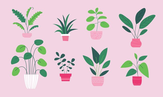 Conjunto de plantas de interior para el hogar en estilo plano Jungla urbana linda moda plantas en maceta decoración del hogar interior