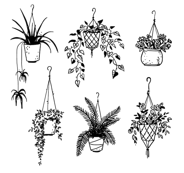Conjunto de plantas de interior en macetas, dibujo vectorial