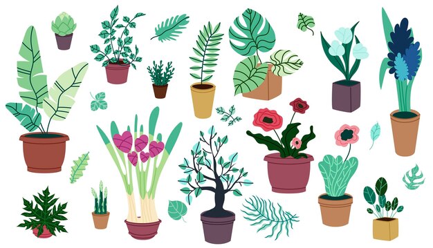Conjunto de plantas de interior en macetas en diseño de dibujos animados
