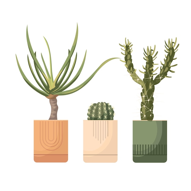 Conjunto de plantas de interior en macetas Vector ilustración dibujada a mano Decoración casera moderna y elegante