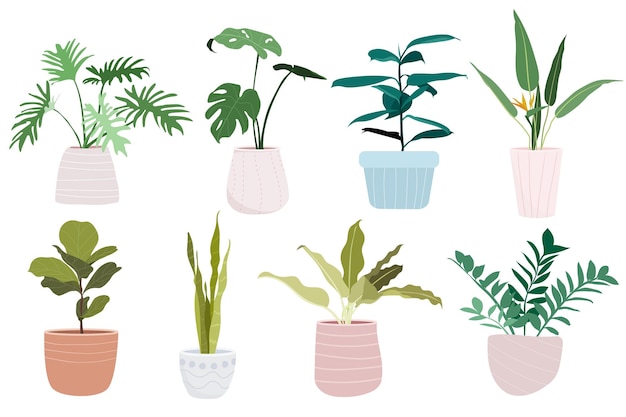 Vector conjunto de plantas de interior en macetas.