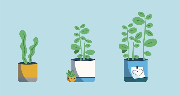 conjunto de plantas de interior planas de dibujos animados