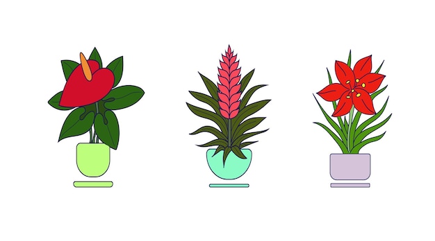 Vector conjunto de plantas de interior primer plano imagen multicolor ilustración vectorial