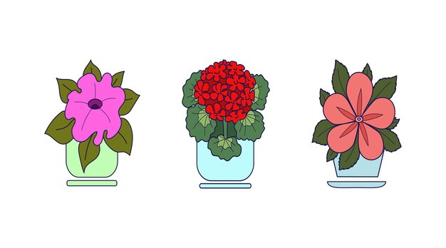 Conjunto de plantas de interior Primer plano Imagen multicolor Ilustración vectorial