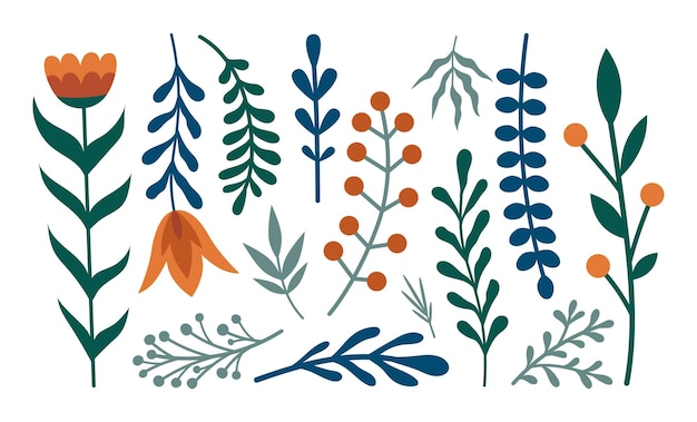 Conjunto de plantas de invierno Flores bayas hojas ramas Ilustración vectorial moderna para su diseño