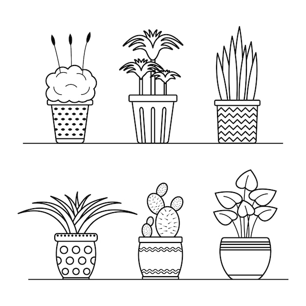 Vector conjunto de plantas lineales vectoriales en macetas colección de flores caseras en macetas de contorno aislado para colorear