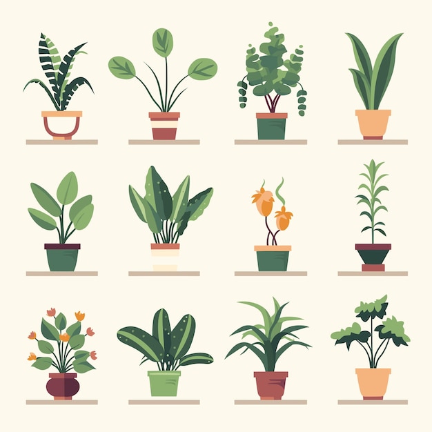 Conjunto de plantas en maceta para el hogar Diferentes plantas de interior aisladas en fondo blanco Ilustración vectorial