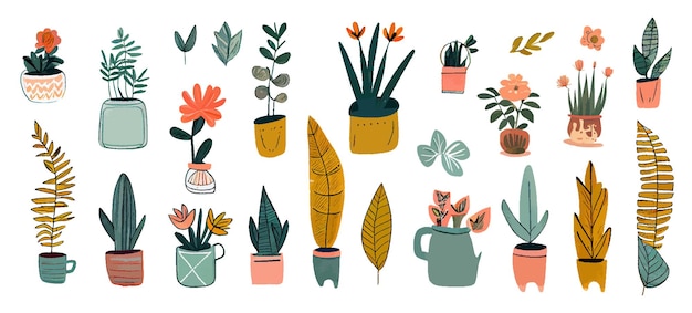 Conjunto de plantas en una maceta. Varias plantas de interior, flores silvestres de Doodle sobre fondo blanco