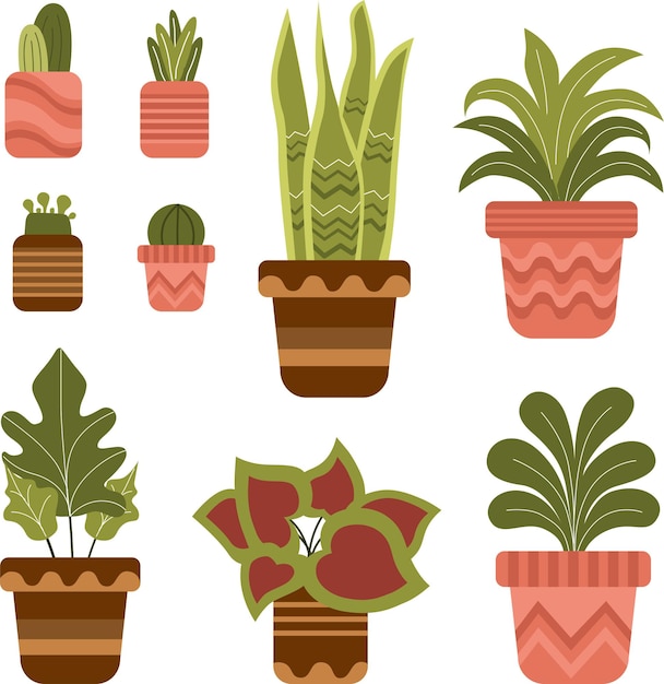 Vector un conjunto de plantas en macetas con borde rosa.