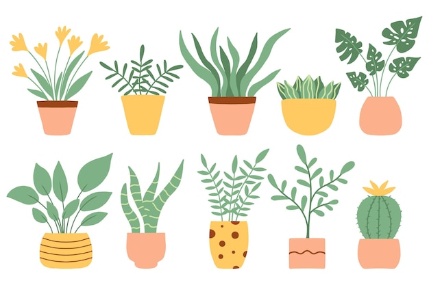 Un conjunto de plantas en macetas de moda para el hogar Varias plantas de interior aisladas sobre fondo blanco Ilustración vectorial en estilo plano Ilustración vectorial