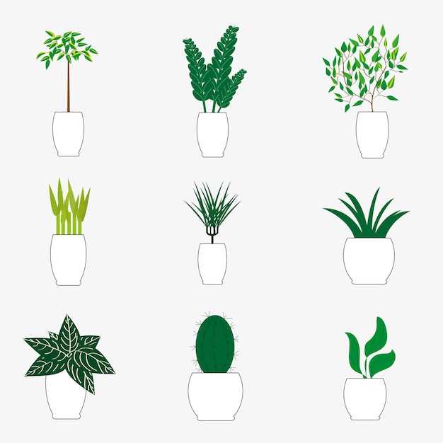 Conjunto de plantas en macetas plantas de interior. decoración verde interior del hogar. ilustraciones vectoriales gráficas planas
