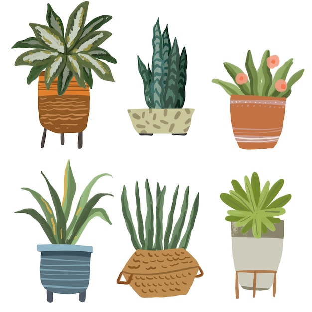 Un conjunto de plantas en macetas con una que dice 'plantas de casa'