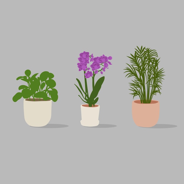 Conjunto de plantas en macetas vectoriales dibujadas a mano sobre fondo gris