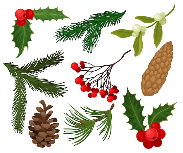 Conjunto de plantas navideñas Símbolos festivos tradicionales Bayas de acebo rojo piñones o conos de abeto rama de muérdago y árboles coníferas Elementos naturales Diseño vectorial plano aislado sobre fondo blanco