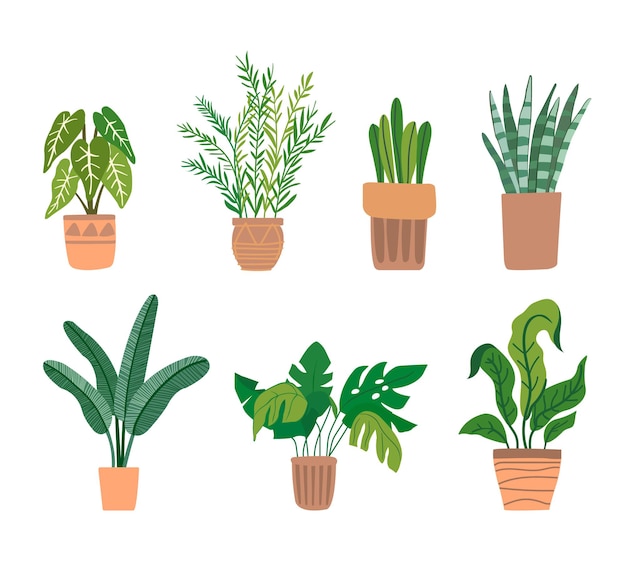 Conjunto de plantas de oficina en macetas Vector Premium