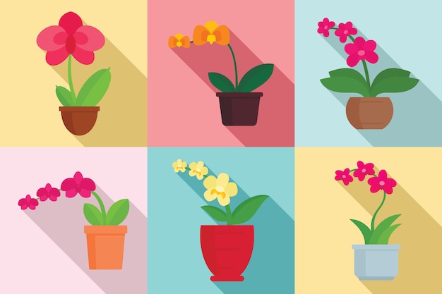 Vector conjunto de plantas de orquídeas, estilo plano