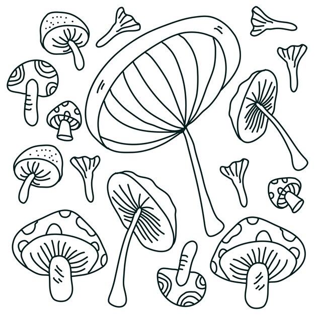 Conjunto de plantas de setas diseño vectorial
