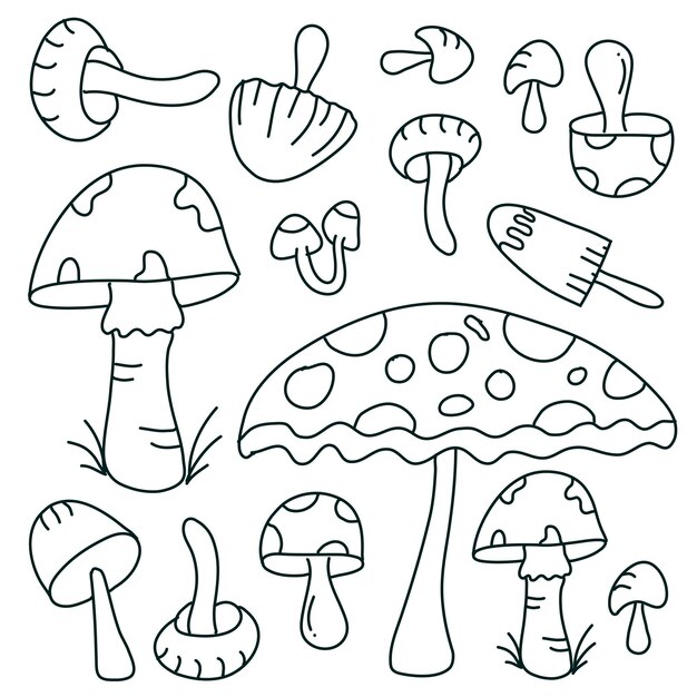 Conjunto de plantas de setas diseño vectorial